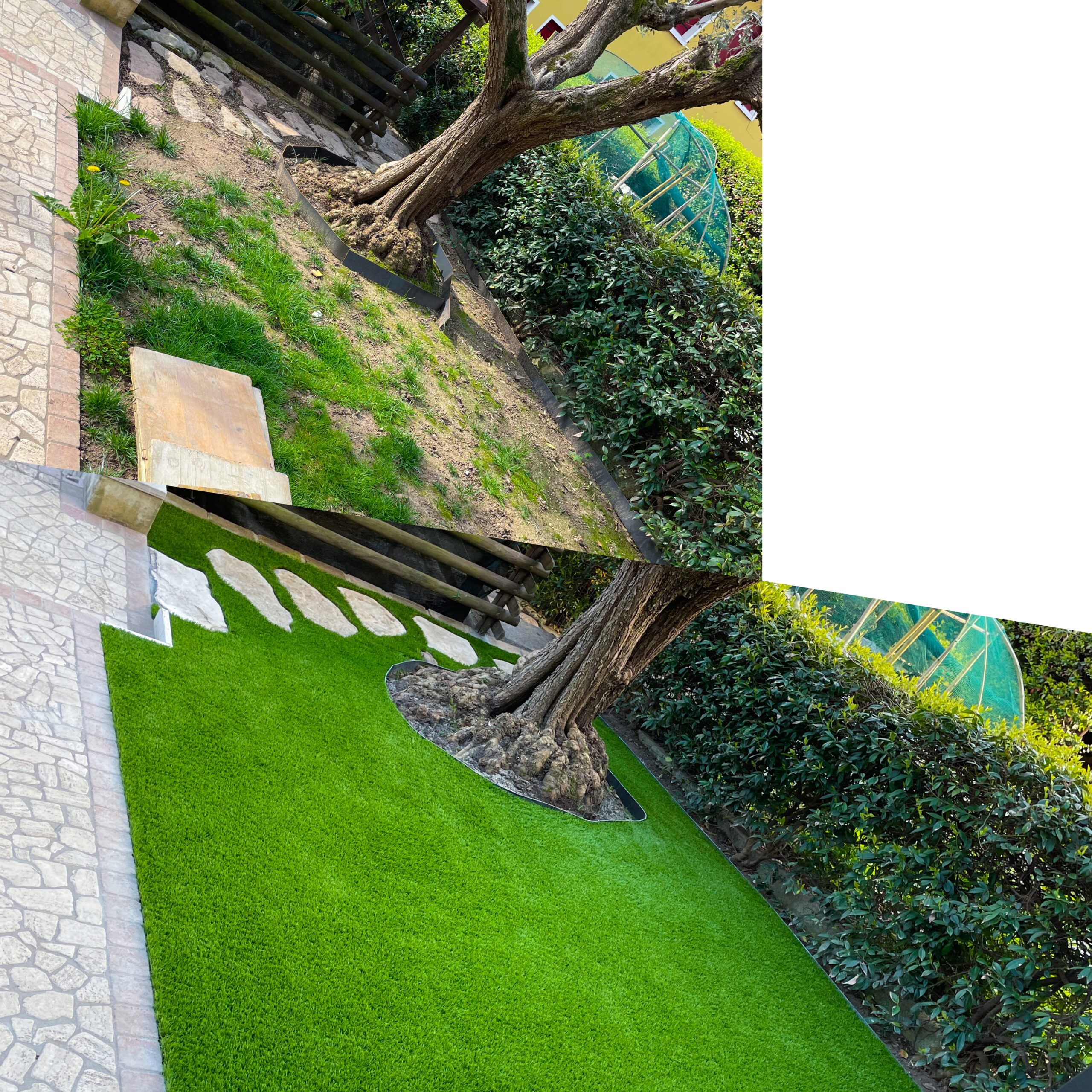 photo-output2-scaled.jpg